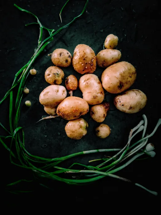 감자-보관-방법-사진