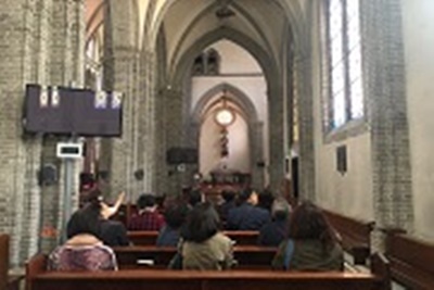 명동성당 도슨트투어 예약방법