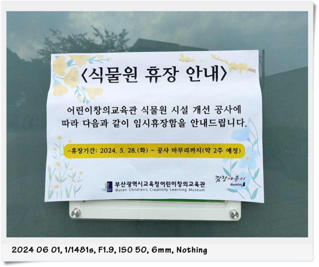 부산 어린이창의교육관 조류전시관에서 볼 수 있는 공작과 새들