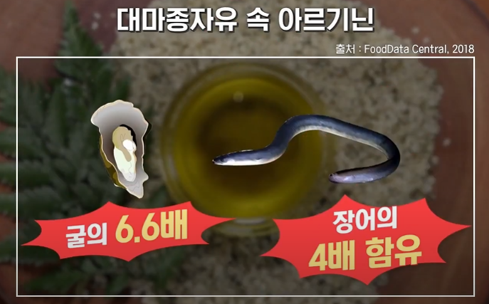 대마종자유 효능