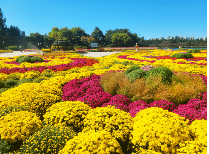 고양국제꽃박람회