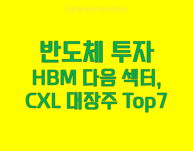 CXL 대장주