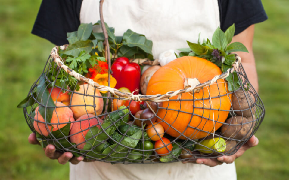 각종 야채가 든 바구니를 들고있는 사진