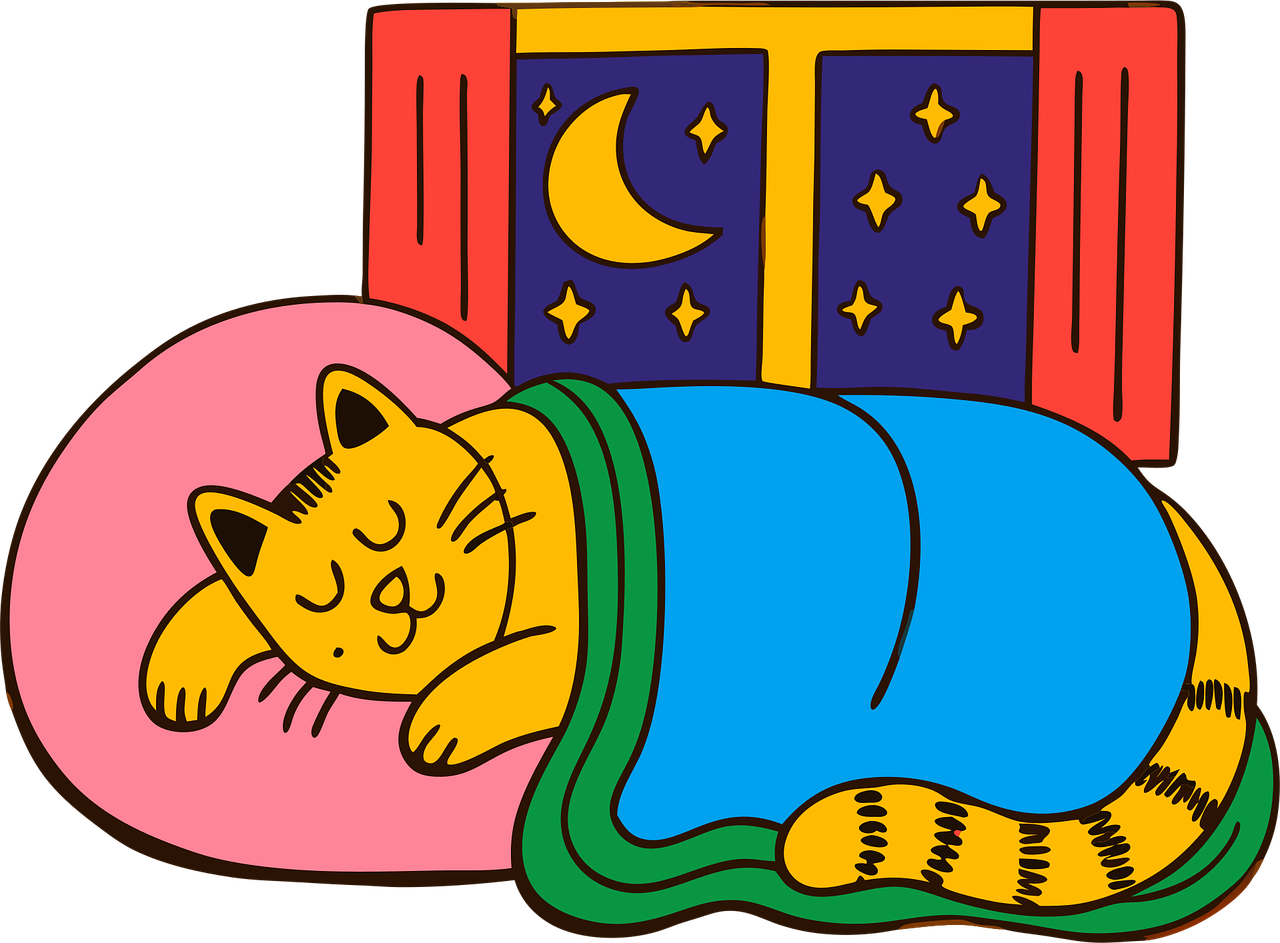 치매 예방 숙면