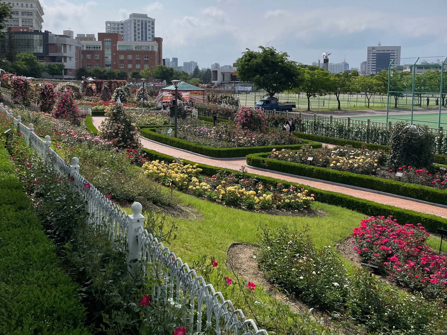 광주 장미 명소 추천