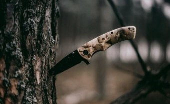 검은-소나무에-날카로운-단도가-박혀있는-모습