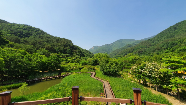 문경 생태미로공원