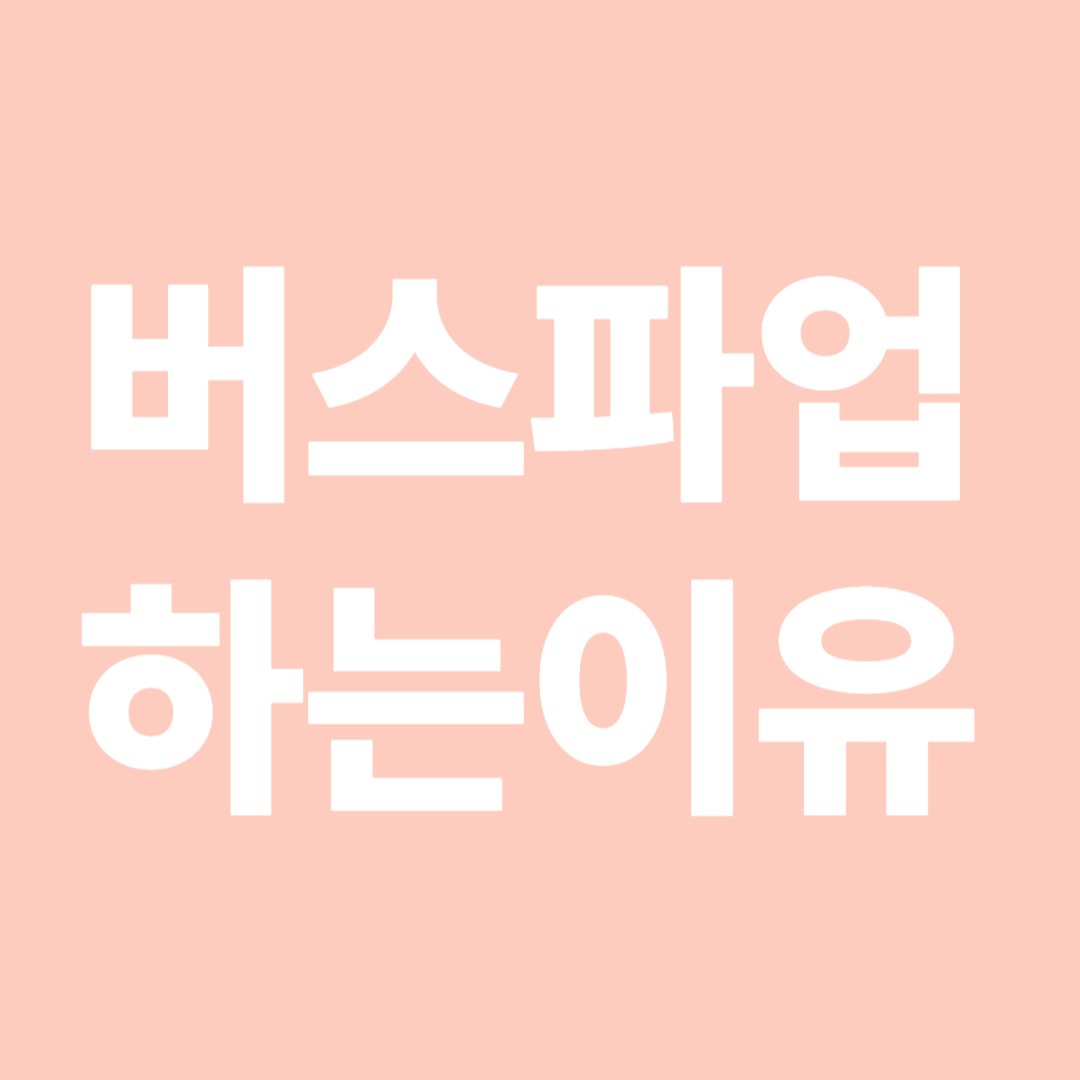 버스파업
