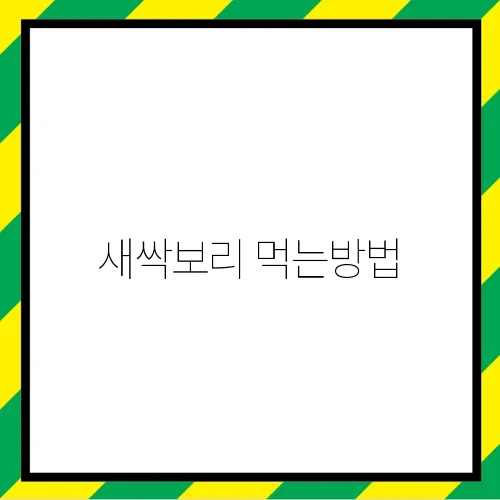 새싹보리 먹는방법