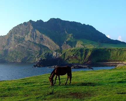 제주-렌터카-추천