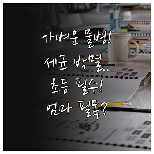 신학기 초등학교 물병 준비물 무게 줄..