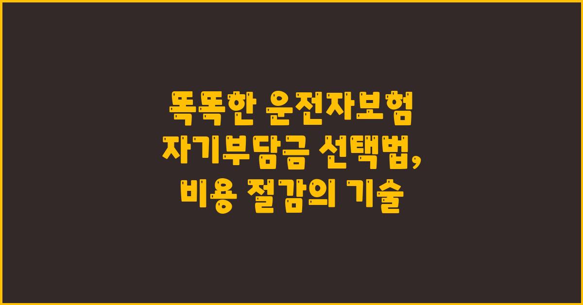 똑똑한 운전자보험 자기부담금 선택법