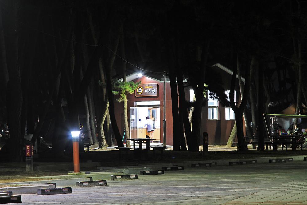 몽산포자동차야영장