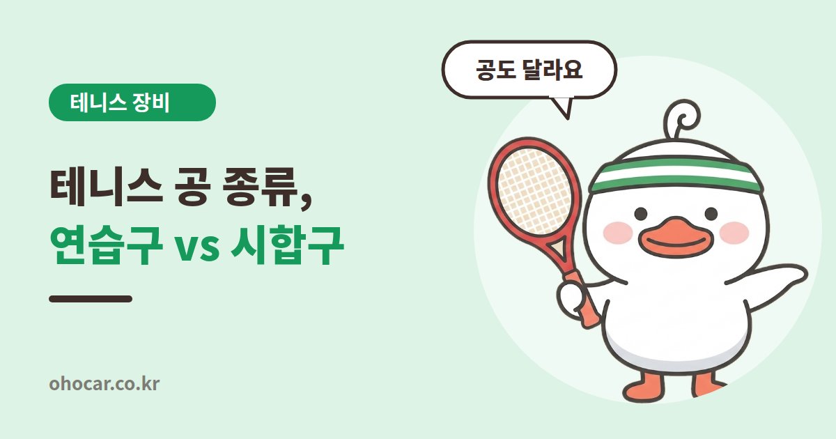 테니스 공 종류 비교