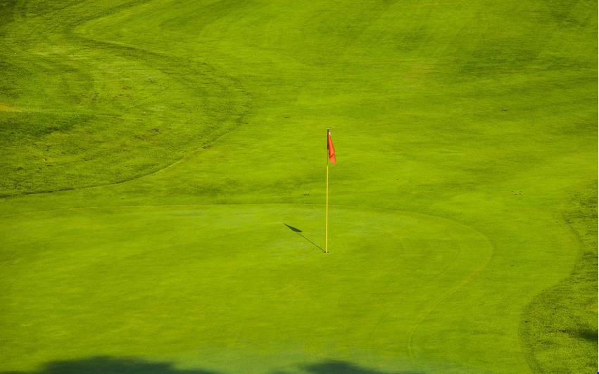 골프 코스, 잔디풍경