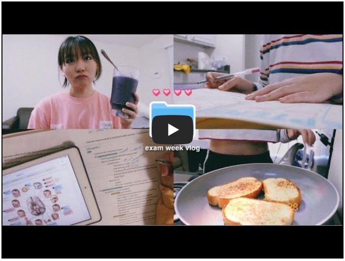 해외 유학생 유튜버 추천 TOP 8 8