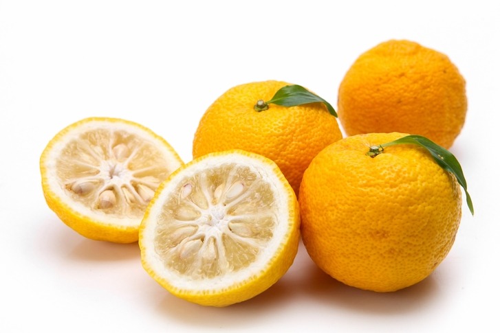 감기에 좋은 음식 유자