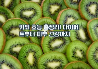 키위 효능과 부작용 비타민 풍부한 과일 정보_16