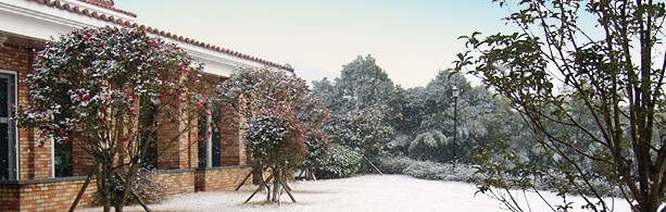 성이시돌호스피스 복지의원