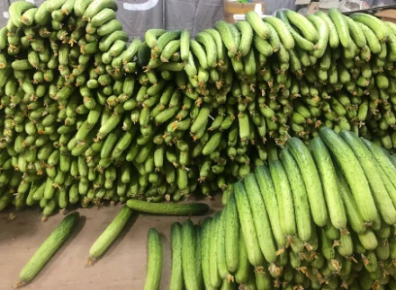 농부의꿈제2농장