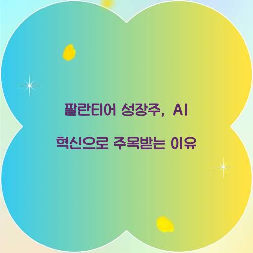 팔란티어 성장주