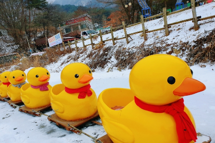 생방송투데이 썰매축제 경기도 포천