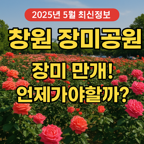 창원 장미공원 장미 만개!
언제 가야할까? (2025년 5월 최신정보)