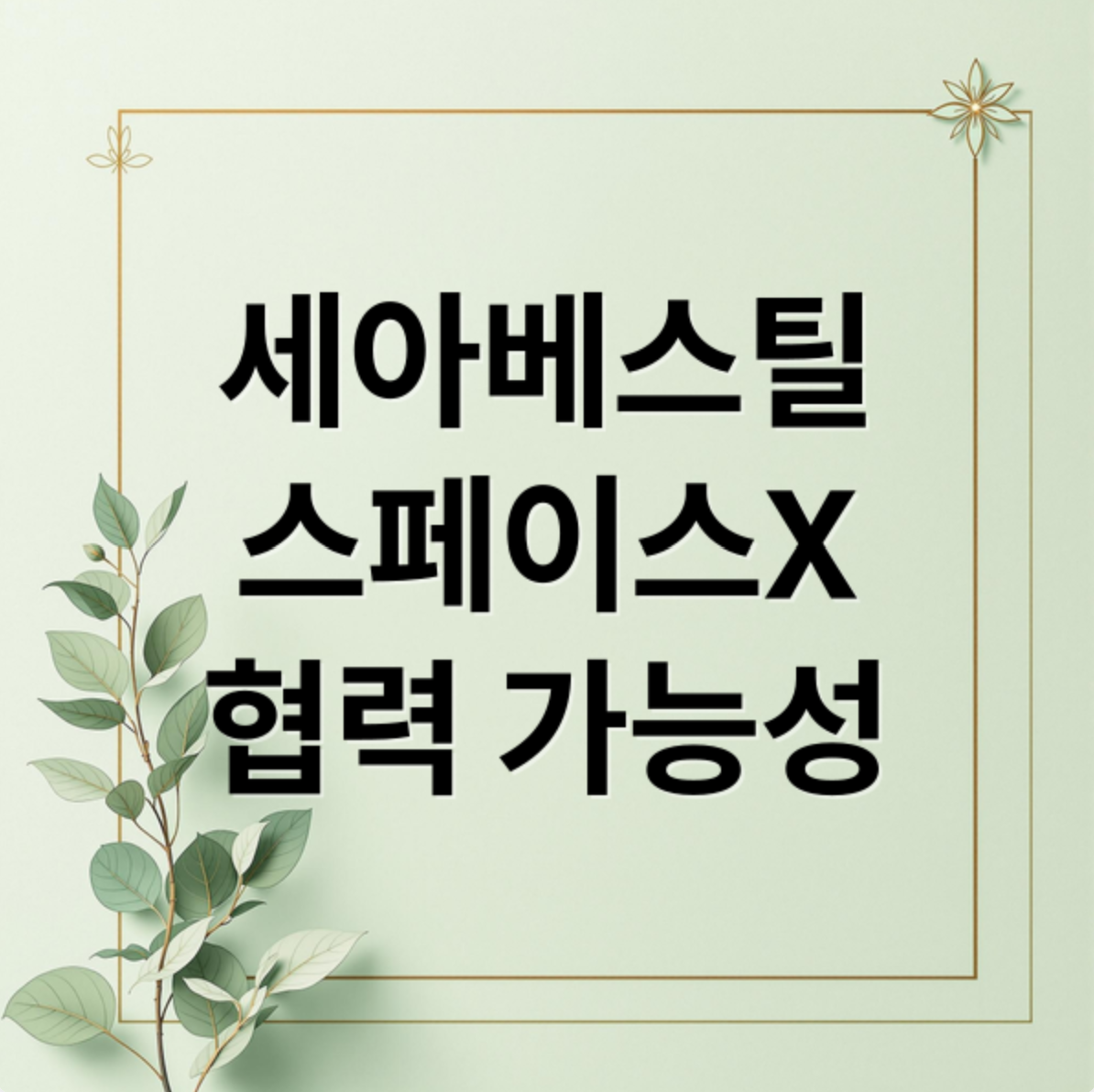 세아베스틸 관련 이미지