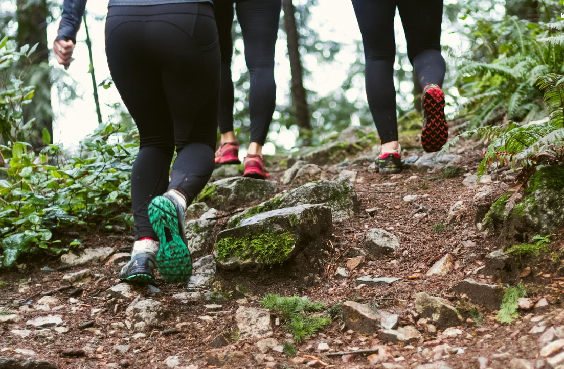 걷기 운동의 칼로리 소모, 효과, 올바르게 걷는 방법