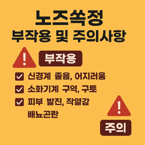 노즈쏙정 부작용