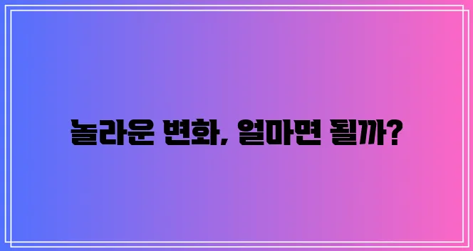 리피어라 판매 가격, 정말 궁금하시죠!