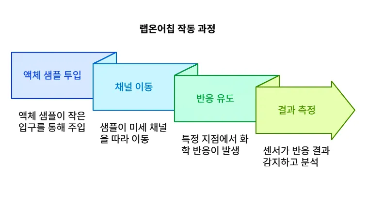 랩온어칩 작동 과정