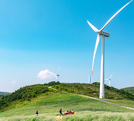 대관령 하늘목장