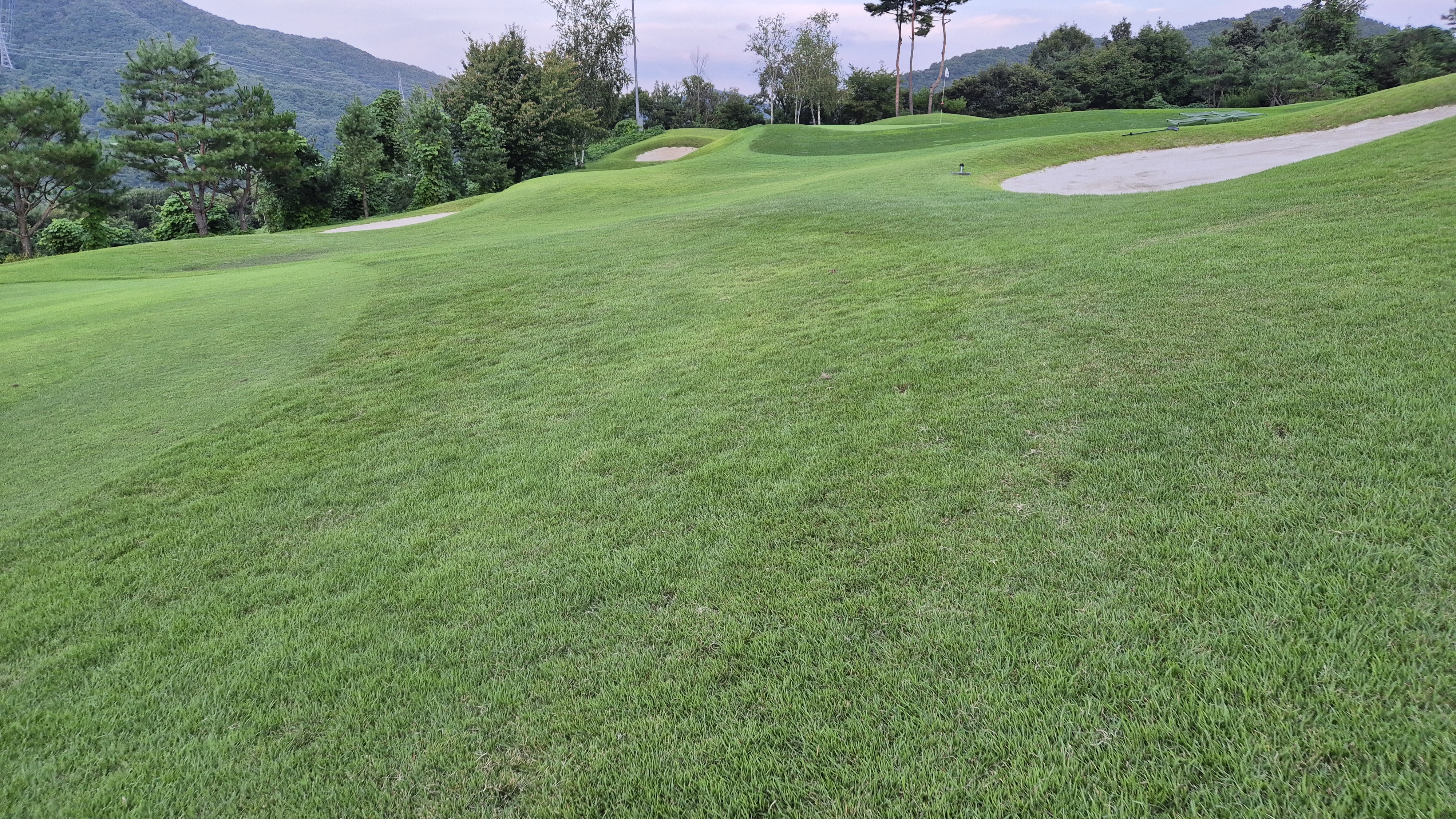 세일cc 들길-산길 코스 사진 및 공략 정보