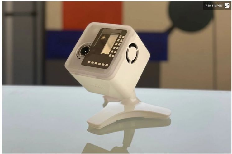 비지고 아이리스 사진