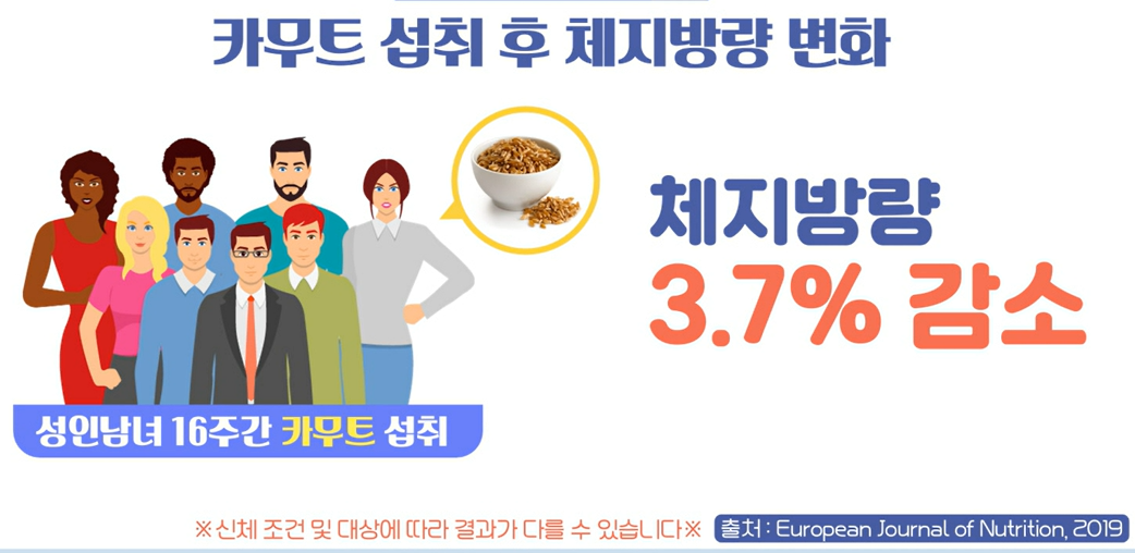 카무트 효능