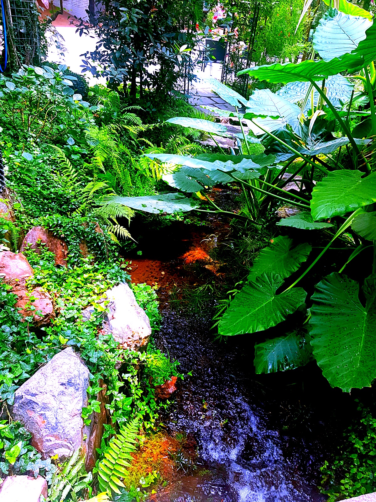 양주 오랑주리 카페: 자연 그대로 실내에 담은 대형 식물원 카페