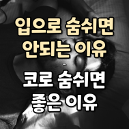 썸네일 입니다.