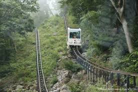 2025 화담숲 예약 성공 팁ㅣ모노레일 이용부터 관람 동선까지