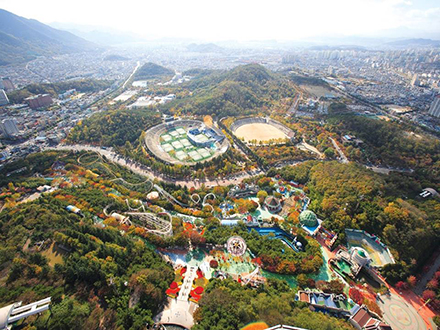 대구 치맥페스티벌 두류공원 주변 맛집 카페 마트 전통시장 특산물 강아지 동반 정보