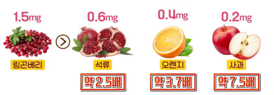 링곤베리 효능