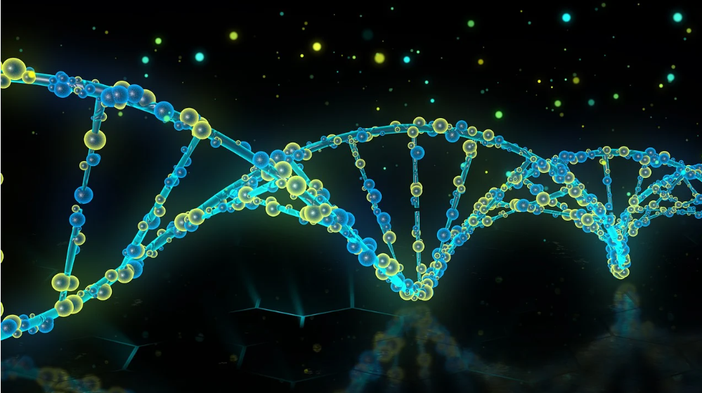 바이오테크와 유전자 편집 기술의 발전