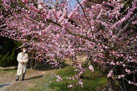 2024 땅끝해남 달마고도 힐링축제 기본일정과 특징 소개