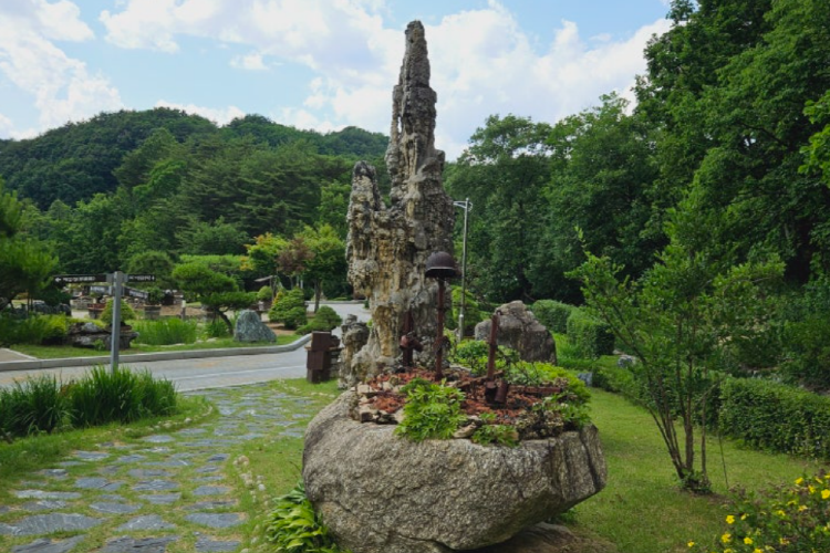 양구 수목원