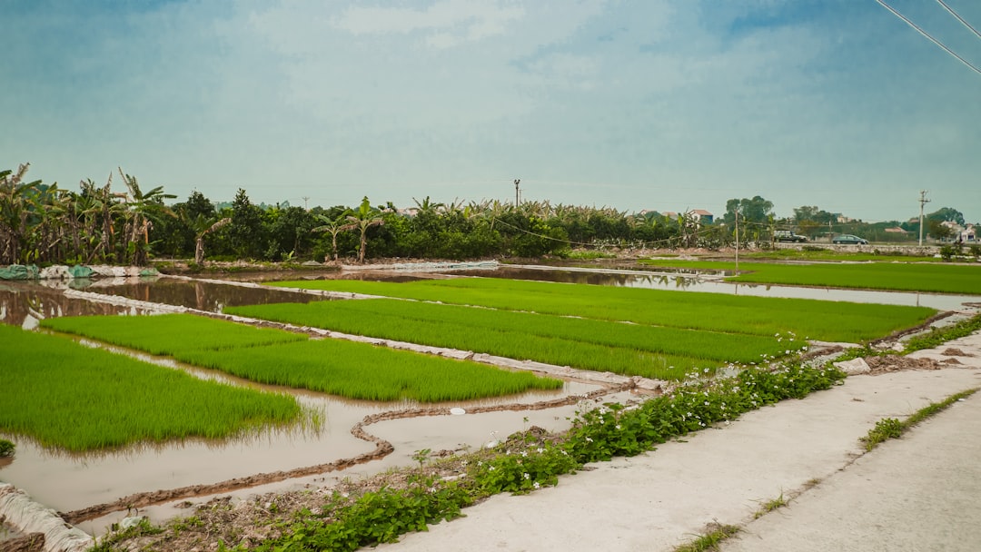 Urban Agriculture