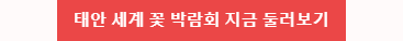 꽃 박람회 둘러보기