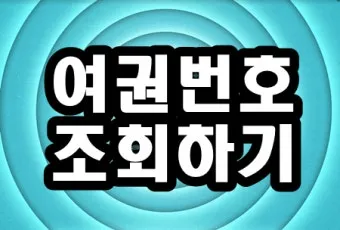 여권번호 조회 바로가기 완벽 여행 서류_21
