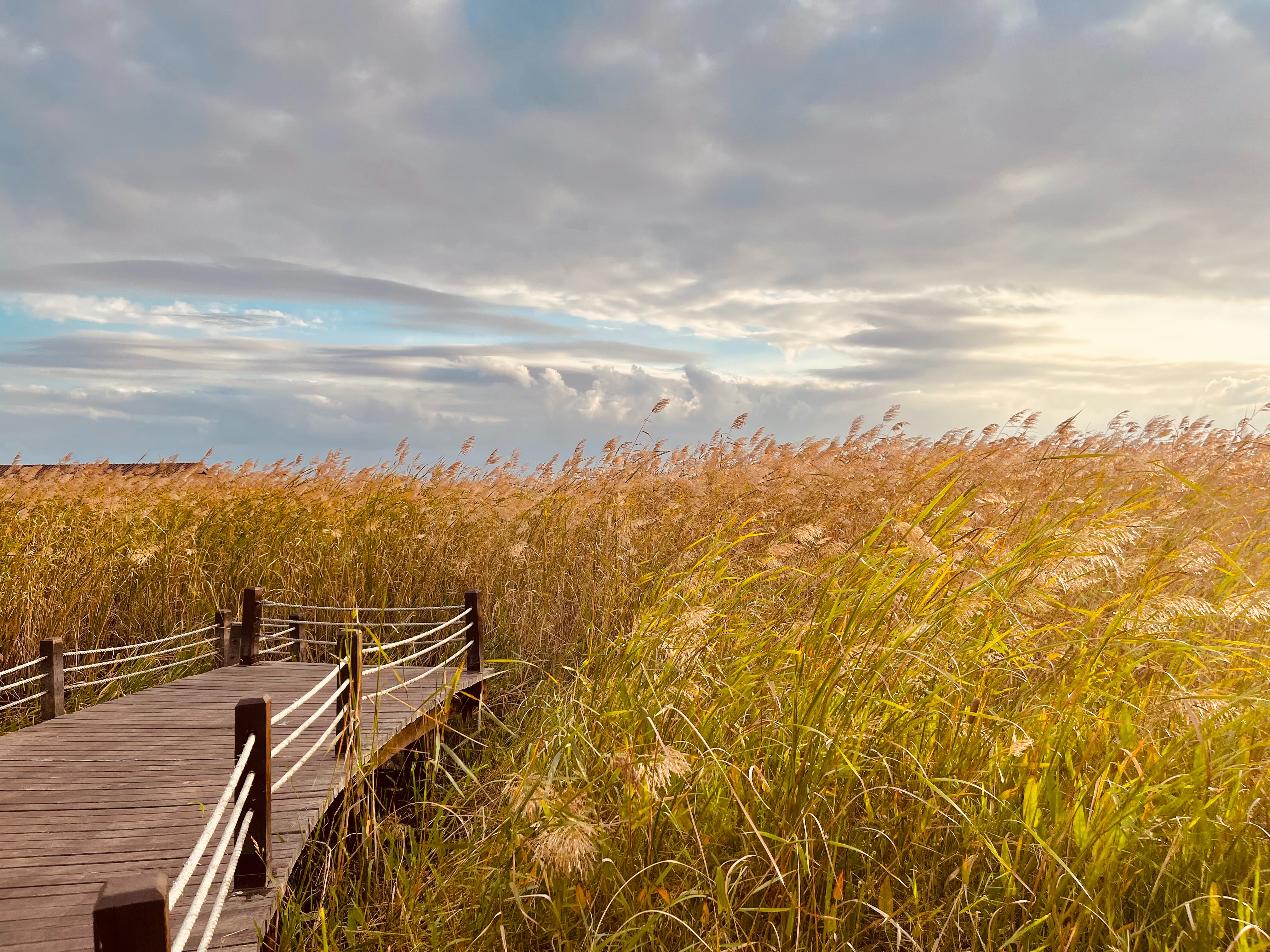 추운 바람이 불기 시작하는 절기 소설