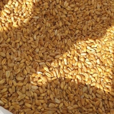 가루쌀로 만들 수 있는 음식