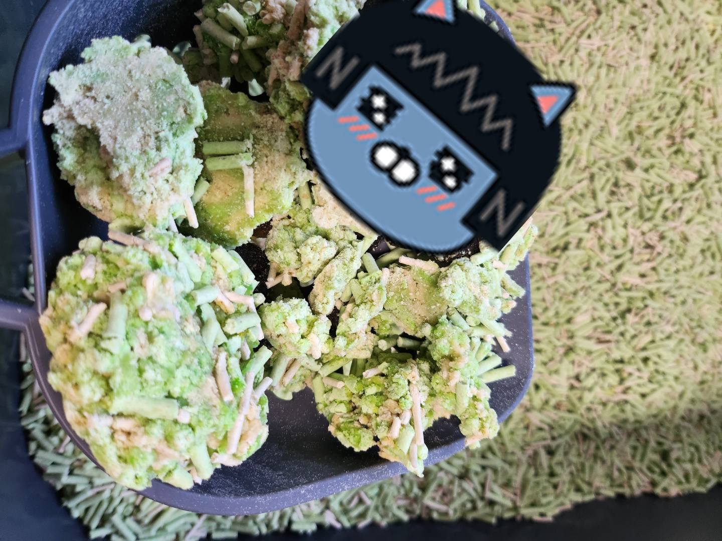 탐사 고양이두부모래